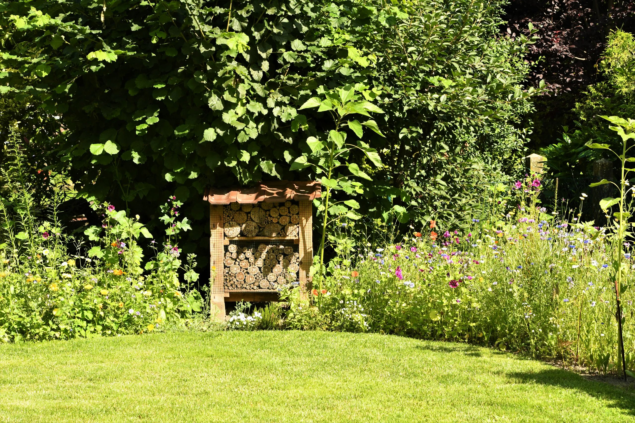 Knapp am Podest vorbei: David Galloway beteiligte sich mit diesem Foto am Wettbewerb „Ahlens schönste Gärten“.