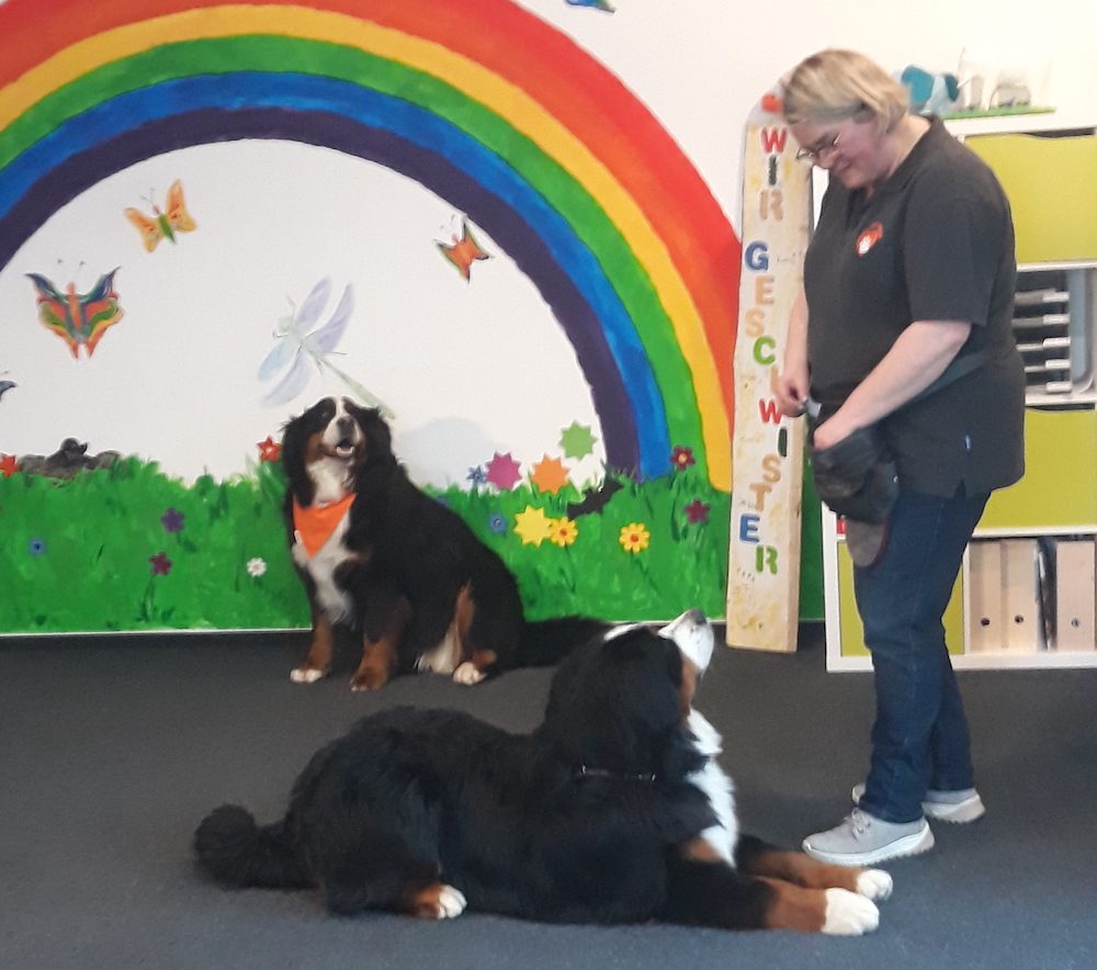 Filmaufnahmen mit Therapiehündin Cathi im Kinderhospizdienst