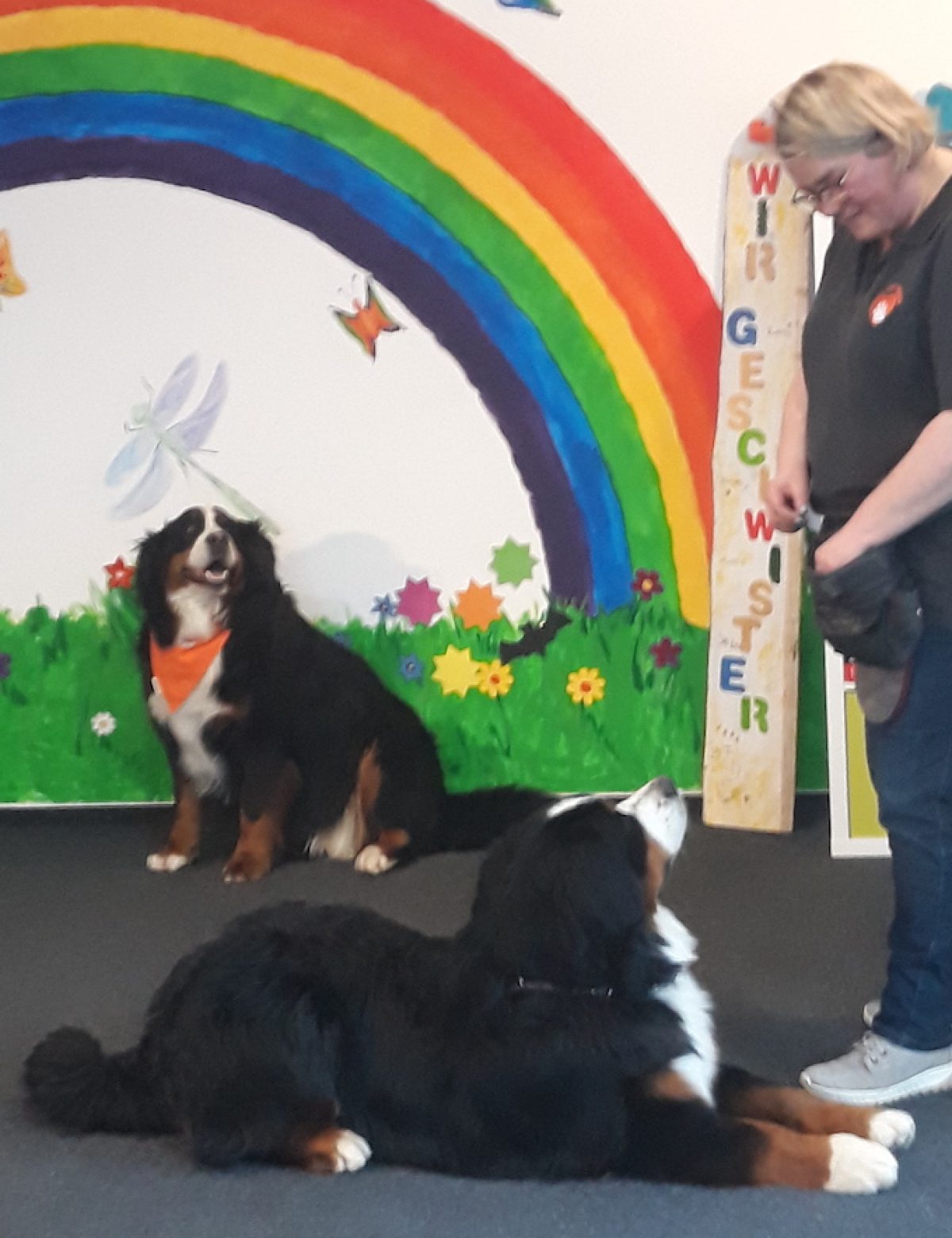 Filmaufnahmen mit Therapiehündin Cathi im Kinderhospizdienst