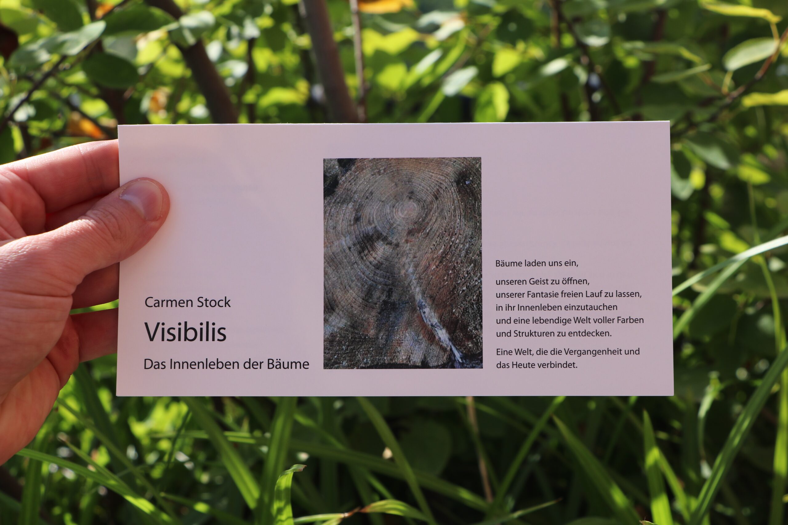 Ausstellung „Visibilis“ von Carmen Stock ab dem 9. September im Kreishaus Warendorf
