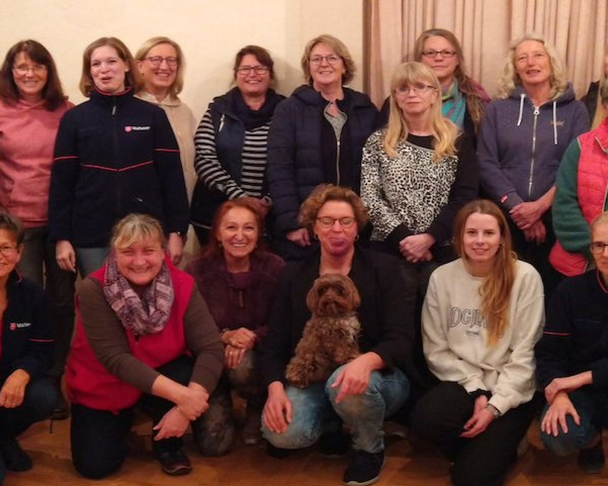 Besuchs- und Begleitdienst mit Hund (BBD mit Hund) bei den Warendorfer Maltesern – Neuer Ausbildungskurs für Hunde und Halter startet im Frühjahr