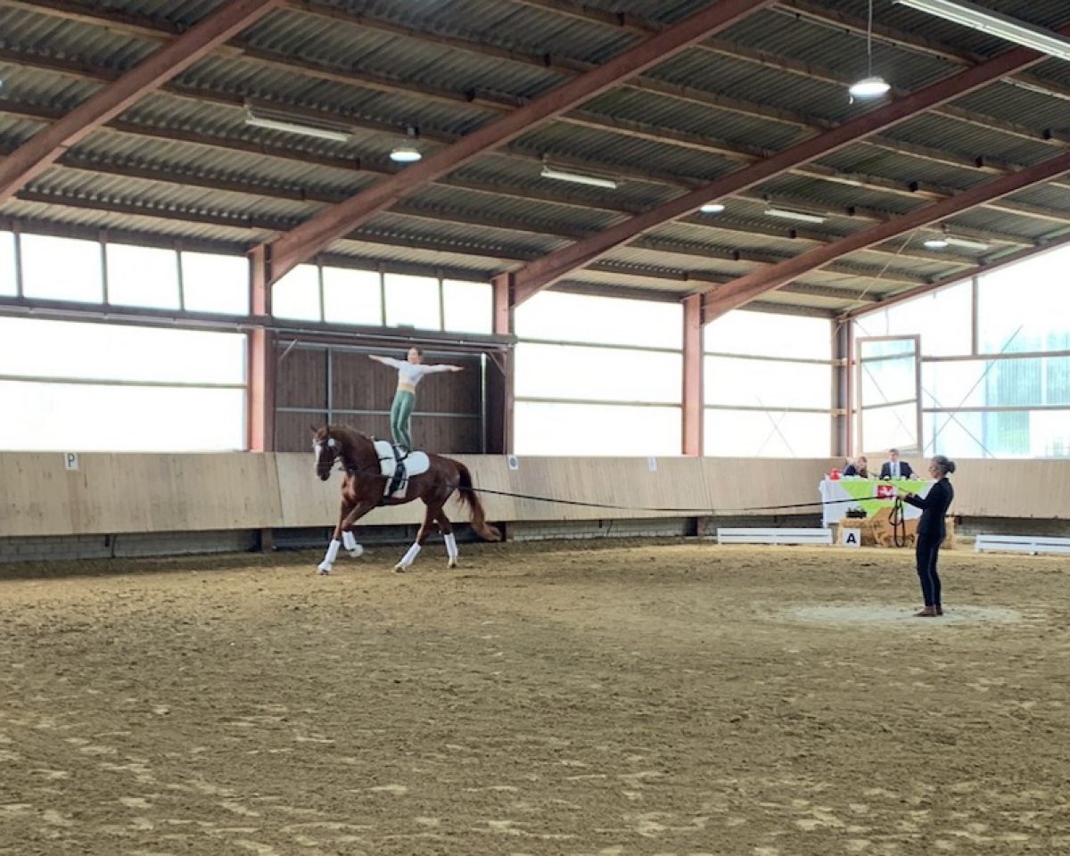 Großes Voltigierturnier des RFV Warendorf