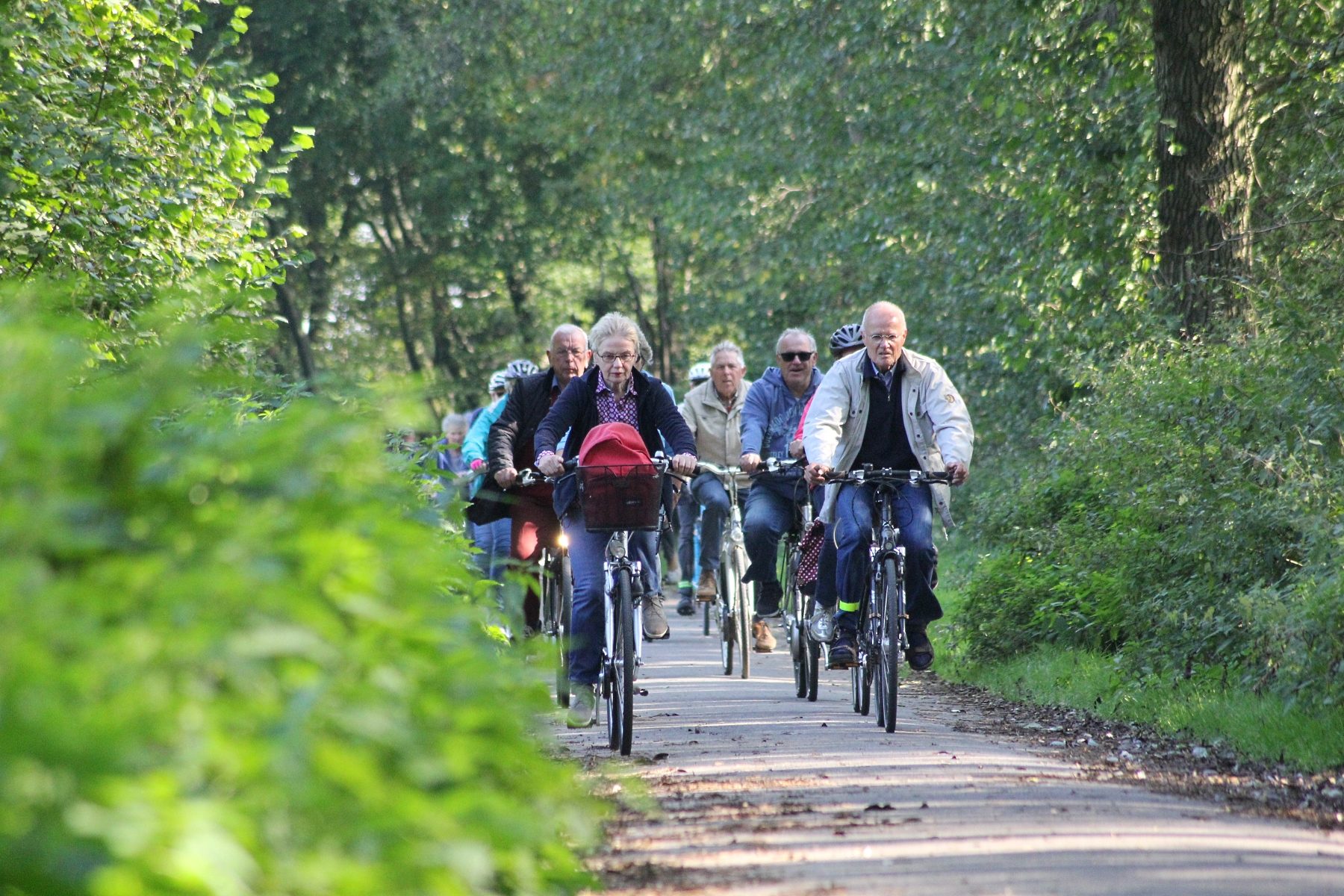 „Fahrt ins Grüne“ Öffentliche Radtour durch die Warendorfer Parklandschaft am Mittwoch
