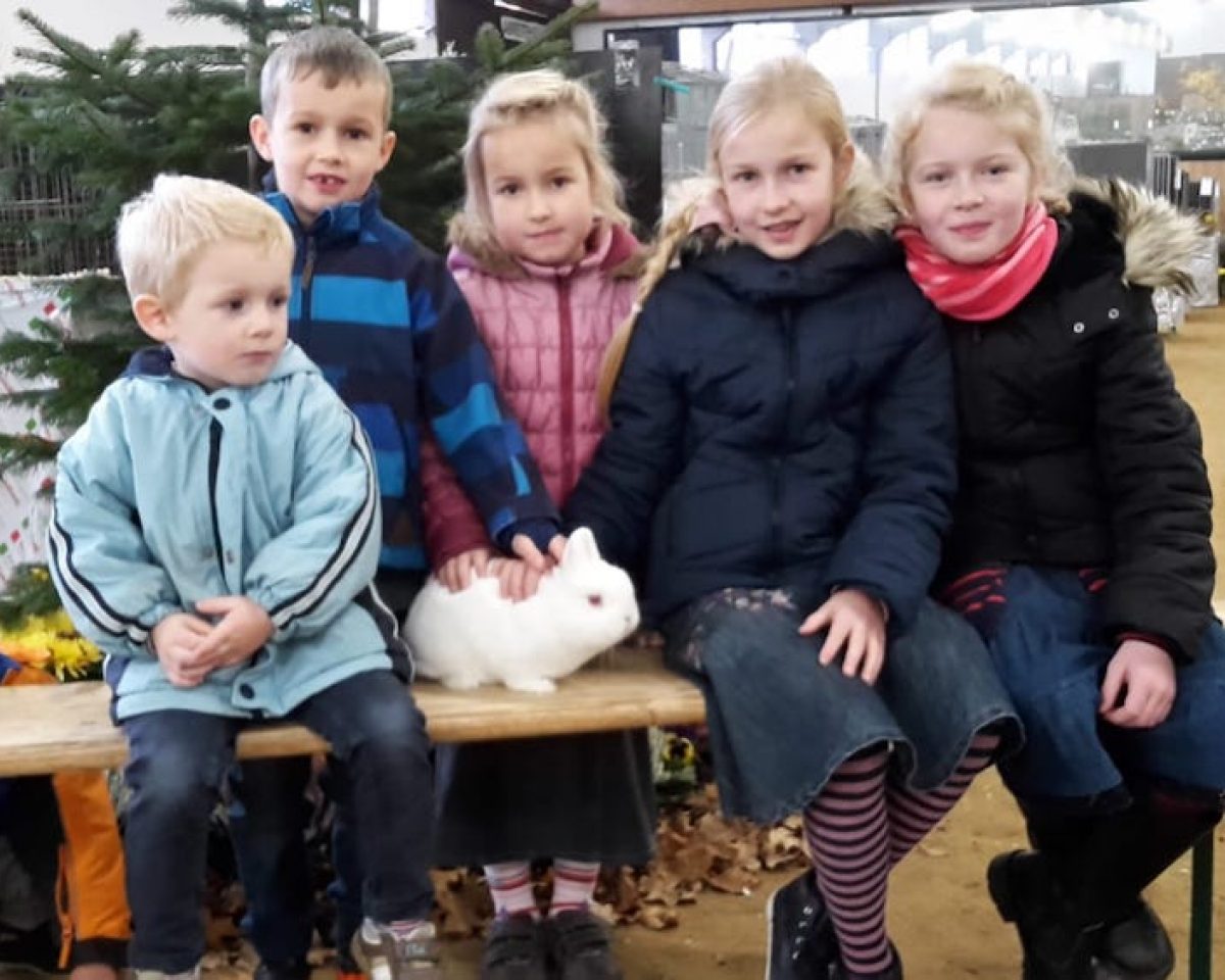 41. große “Freckenhorster Kleintierschau“ der Rassegeflügel- und Kaninchenzüchter am 5./6. November
