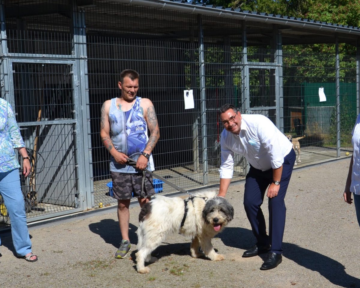 Engagement für Tiere hat nicht abgenommen