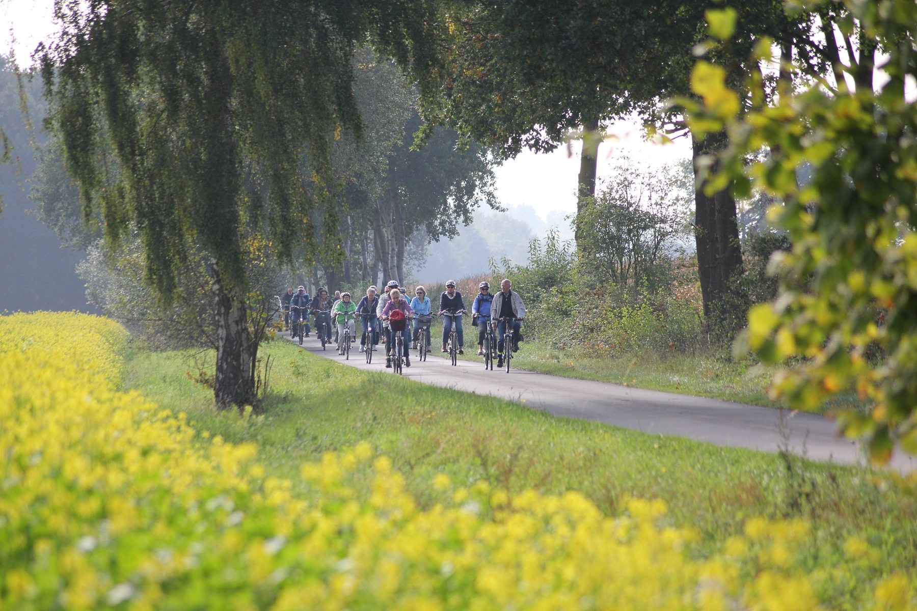 Geführte E-Bike-Tour mit Besuch der „Alltagsmenschen“ und Picknick in Telgte