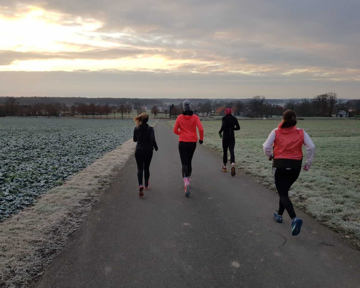 Sonntagsläufe WSU Lauftreff – Teuto wir kommen!