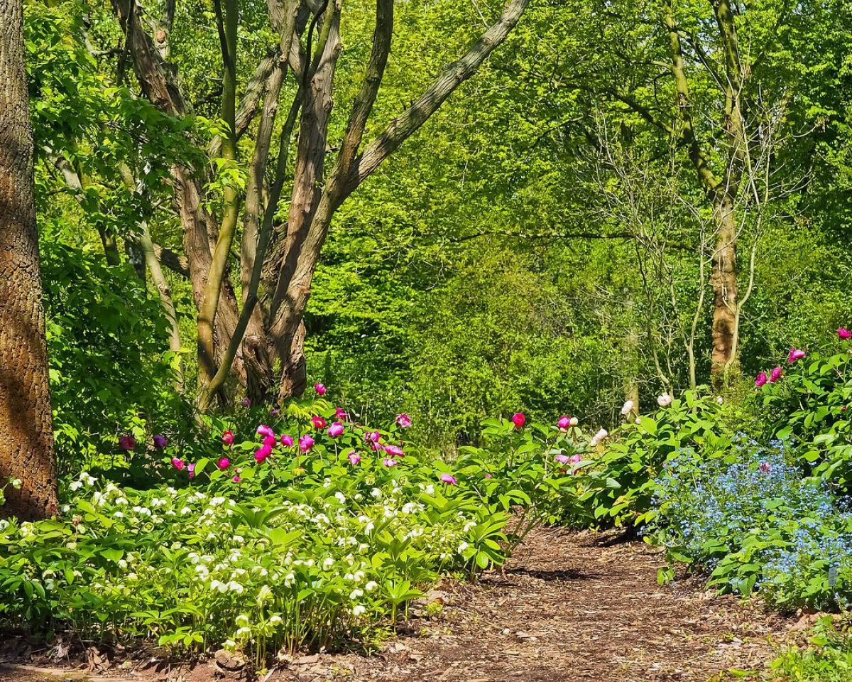 Bürgerwald für Sassenberg
