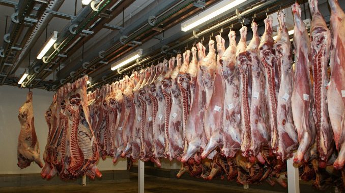 Corona in Schlachthöfen – Tipps zum richtigen Umgang mit Fleisch