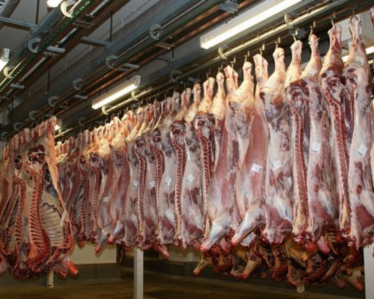 Corona in Schlachthöfen – Tipps zum richtigen Umgang mit Fleisch
