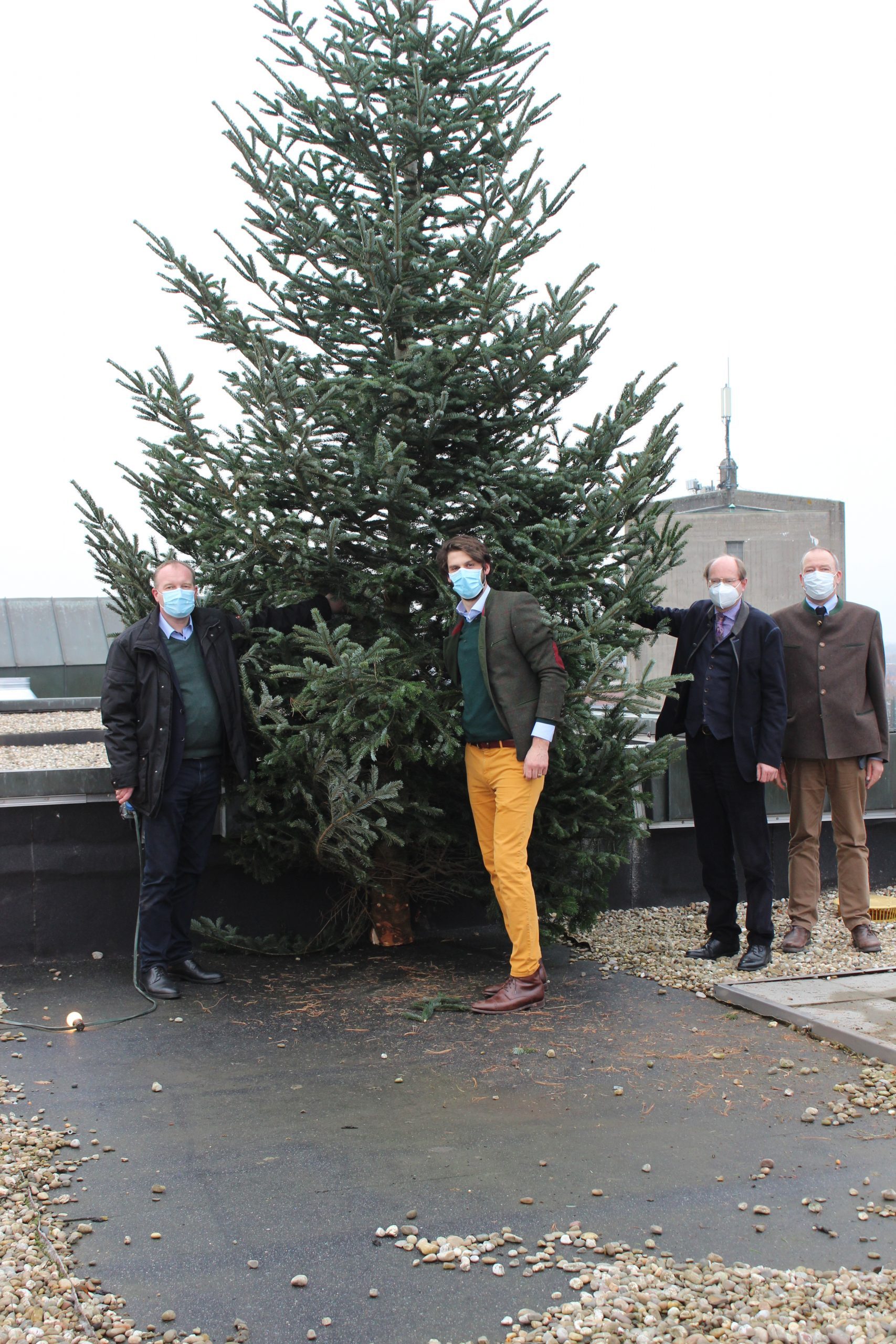 Tanne auf dem Kreishaus verbreitet vorweihnachtliche Stimmung