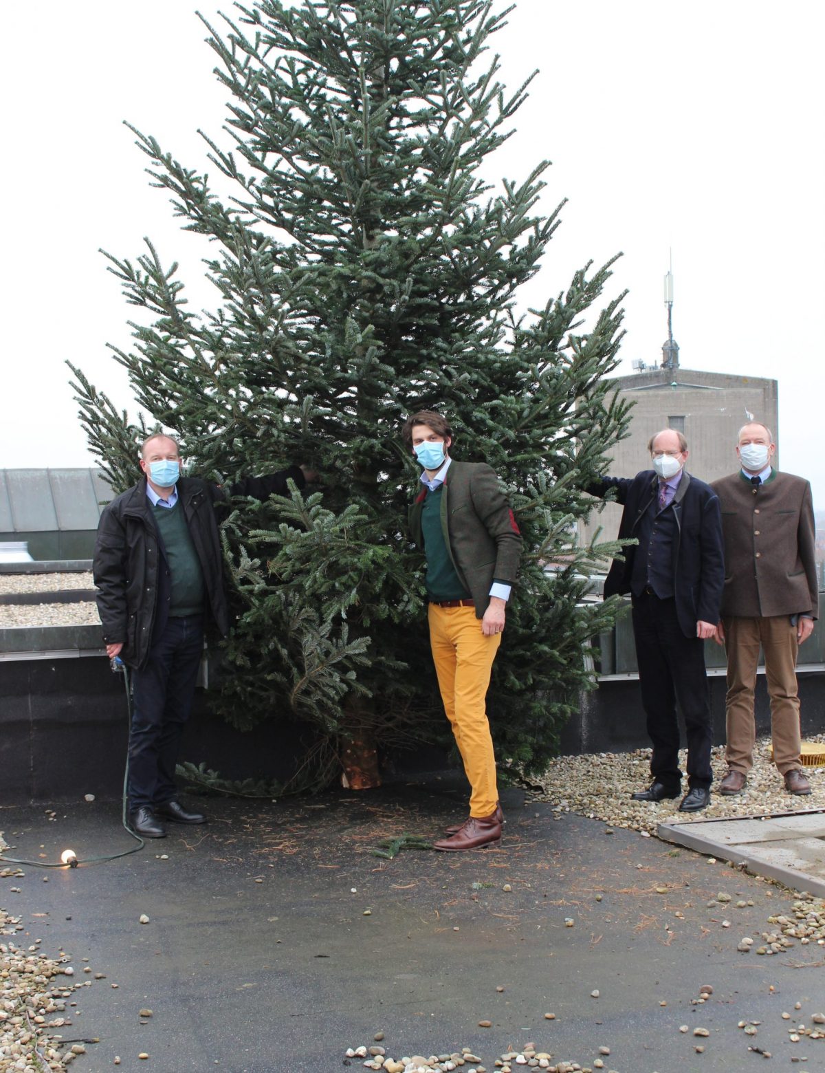 Tanne auf dem Kreishaus verbreitet vorweihnachtliche Stimmung