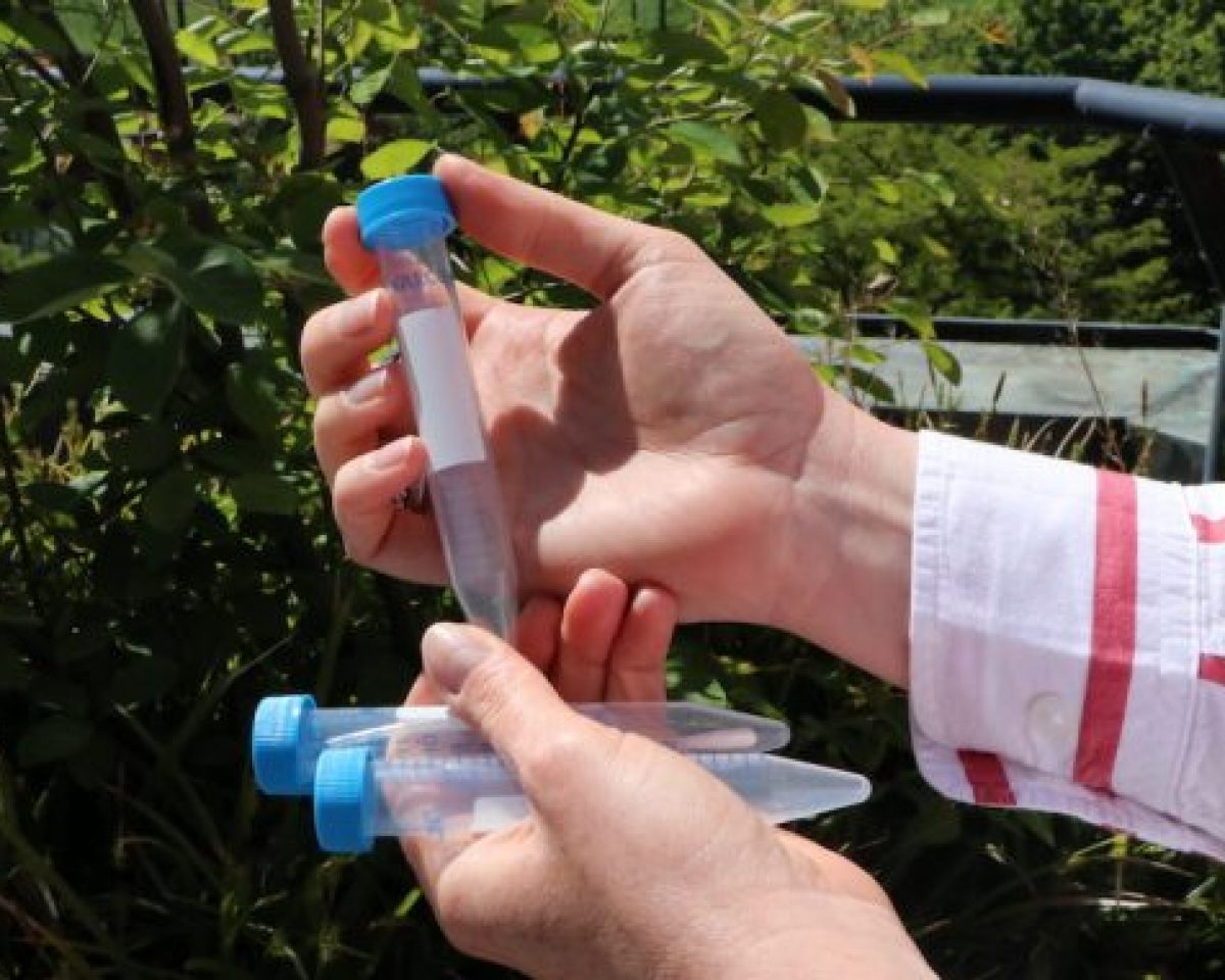 Bedarfserhebung für Schnellteste der Beschäftigten im Bereich der Kinder- und Jugendhilfe