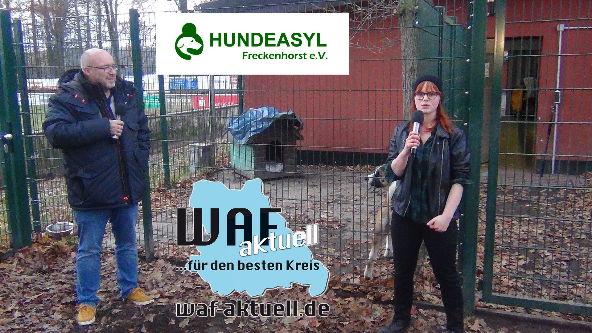 WAF-Aktuell.de …für den besten Kreis, besuchte das Hundeasyl in Freckenhorst. MIT VIDEOBEITRAG