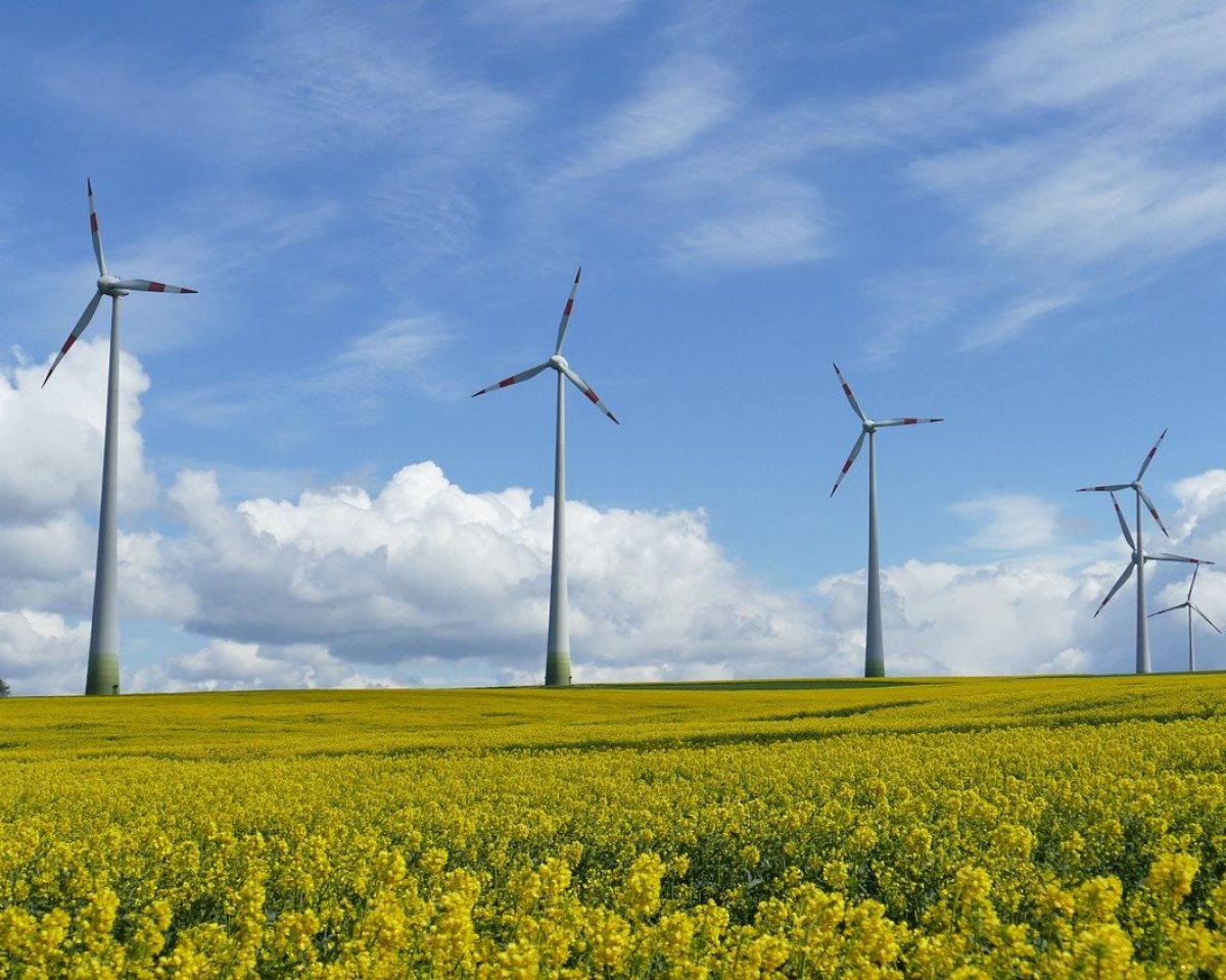 Windkraft-Antrag liegt zur Einsichtnahme aus